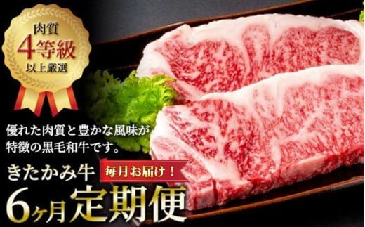 y  / 6 zuh u ݋ v 66A͂ Y јa  T[C ؂藎Ƃ ^ u[X Jr Ă Ԕ_Y 茧 ks Q0239