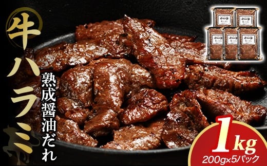 やまなか家 旨みたっぷり牛ハラミ【熟成醤油だれ】1kg(K2-025)   牛ハラミ 牛カルビ 豚カルビ 牛ホルモン たれ タレ 詰合せ 岩手県 北上市 D0501 (KYフーズ)牛肉 BBQ 焼肉セット岩手県北上市170