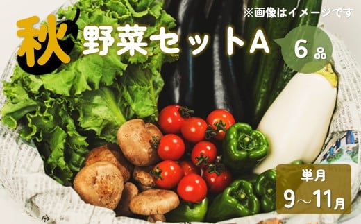 【予約受付/2025年9月発送開始】秋 野菜セット A 6品 以上 季節 旬 国産 秋野菜 きのこ 葉物  果菜 根菜 冷蔵 野菜室 岩手県産 北上産 季節限定 瓜 じゃが芋 里芋 長芋 大根 キャベツ ピーマン