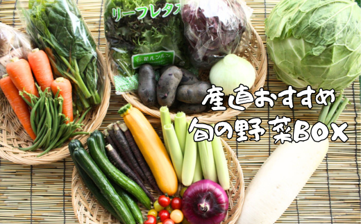 【12月発送】産直あぜみち 旬の野菜ボックス 産直 新鮮野菜 野菜セット 厳選 やさい フレッシュ 詰め合せ 国産 季節 旬 おまかせ 産地直送 春野菜 夏野菜 秋野菜  根菜 冷蔵  岩手県産 北上産