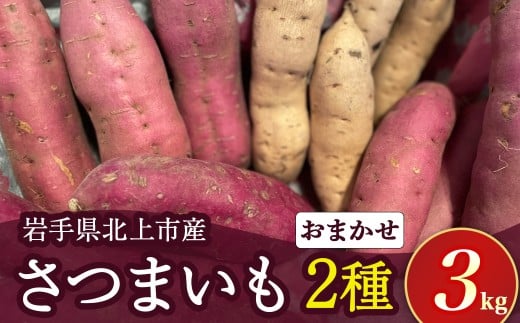 【 予約受付 2025年産 】 さつまいも 2種類 3kg ( シルクスイート 、 パープルスイート 、 ハロウィンスイート 、 紅あずま 、 紅はるか 、 安納芋 、 鳴門金時 等から 2品種 詰め合わせ ) 国