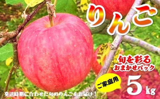 \ 11月中旬より発送予定 /【北上市産 りんご 】旬を彩るおまかせパック 【 家庭用 】 5キロ (約13〜20玉) 林檎 リンゴ 5kg 国産 東北 岩手 産地直送  訳あり フルーツ 果物 岩手県 北上市 C0522