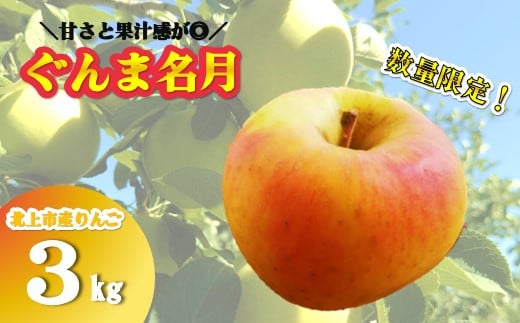 予約受付 \ 10月下旬発送開始予定 / 【 北上市産 りんご 】 ぐんま名月 3キロ (約8〜12玉) 【 贈答用 / 数量限定 】国産 林檎 リンゴ 岩手県 北上市 D0449 金鈴園岩手県北上市17000果物・フルー
