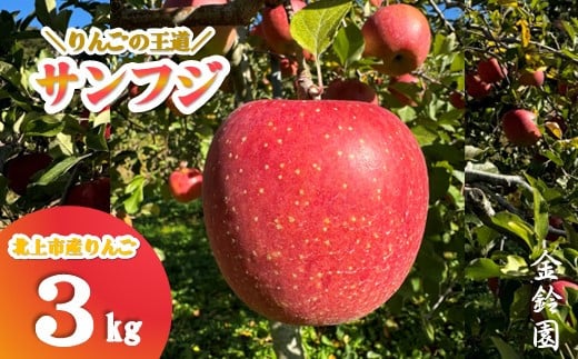 _ 11{\ ^ y ksY  zTtW yIʁz 3L (8`12)  p ь S Tӂ 3kg Y k  Yn t[c ʕ 茧 ks C0172 鉀 y
