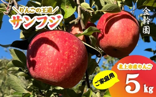 \予約受付 11月下旬より発送開始予定/【 北上市産 りんご 】サンフジ 【 家庭用 】 5キロ (約13〜20玉)  林檎 リンゴ サンふじ 5kg 国産 東北 岩手 産地直送  フルーツ 果物 岩手県 北上市 C0171