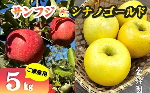 \ 11月下旬発送予定 / 【 北上市産 りんご 】サンフジ & シナノゴールド 【 家庭用 詰め合せ 】 5キロ セット (約13〜20玉)   林檎 リンゴ サン ふじ 5kg 国産 東北 岩手 産地直送 フルーツ 果