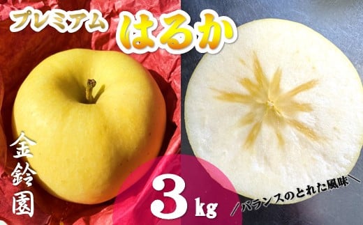 予約受付 \ 11月下旬発送予定 /【北上市産】プレミアムはるか 【厳選玉】 3キロ (約9〜12玉)  国産 林檎 リンゴ はるか 果物 フルーツ 産地直送 旬 秋 冬 季節限定 金鈴園 岩手県 北上市 D0448