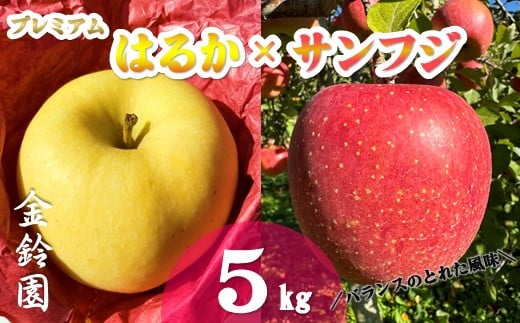 \t _ 11{\ ^ yksY  zv~A͂邩  TtW  [ I l Zbg ] 5L (13`18)  ь S Y ͂邩 Tӂ Yn t[c ʕ