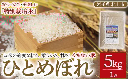 【 令和7年産 新米 10月中旬発送開始予定 】特別栽培米 ひとめぼれ 白米 5kg お米 岩手 東北 産地直送 産直 あぐり夢 国産 ひとめぼれ 米 お米 ご飯 こめ 産直 2025年 R7年 くちない米 岩手県 北