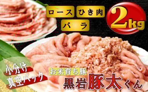 ؑU  ؓ 2kg Zbgi[XEoEЂj 茧 ks D0341  ^pbN Ε  Mtg h{Lx r^~B l 󏭓 Ĉ炿 肷|[N Y 