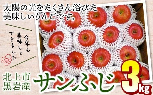 りんご サンふじ 約 3kg   11月から発送予定 フジ さんふじ 贈答 お歳暮 ギフト 冬の贈り物 プレゼント 厳選 甘い 冬 果物 フルーツ おやつ 家庭 贈答 のし  季節 リンゴ 林檎 くろいわ産直  岩