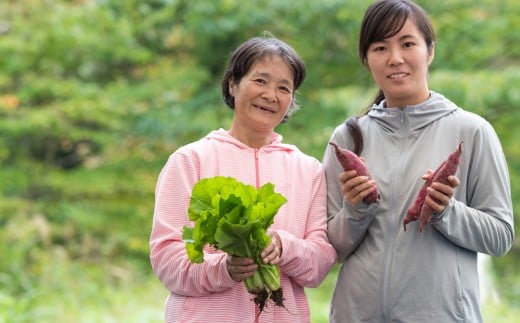 収穫したての新鮮野菜! オーガニック 野菜セット 6~8品 旬 野菜 新鮮野菜 詰め合せ 国産 季節 おまかせ 産地直送 春野菜 夏野菜 秋野菜 きのこ 葉物 果物 果菜 贈り物 スイーツ ヘルシー 1