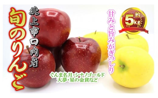予約受付 10月上旬〜発送予定  完熟りんご(セット) 約5kg サンふじ & 旬の りんごセット(ぐんま名月 シナノゴールド 大夢 星の金貨 など)完熟 金成園 たっぷり 岩手県 北上市 D0058岩手県北