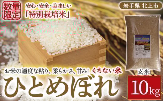 【 令和7年産 新米 10月中旬発送開始予定 】北上産 くちない米( 特別栽培米 ひとめぼれ 玄米 )10kg 岩手県 北上市 F0143 国産 東北 岩手 米 お米 ご飯 こめ 10キロ 2025年 R7年 産直 あぐり夢くち