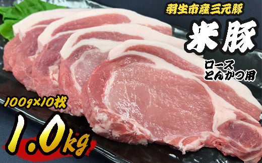 ؓ ؓ[X 1kg (100g×10) [XƂ񂩂p O ē Y  |[N  HsY    ֗ uh uh geL Xe[L  ܂Ƃߔ Ԓ 