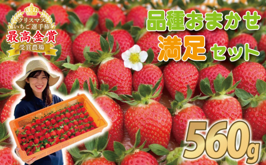 【事前受付】いちご 食べ比べ 約 560g ( かおり野 よつぼし 紅ほっぺ 恋みのり おいCベリー )  完熟 5品種 から 2種類 お届け 苺 イチゴ ストロベリー 産地直送 ご当地 果物 くだもの フルーツ