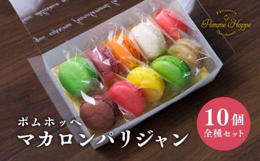 マカロン 10個 セット パティシエ手作り 焼き菓子 チョコ チョコレート デザート スイーツ お菓子 冷蔵 プレゼント 詰め合わせ お土産 誕生日 バースデー バレンタイン ホワイトデー 洋菓子