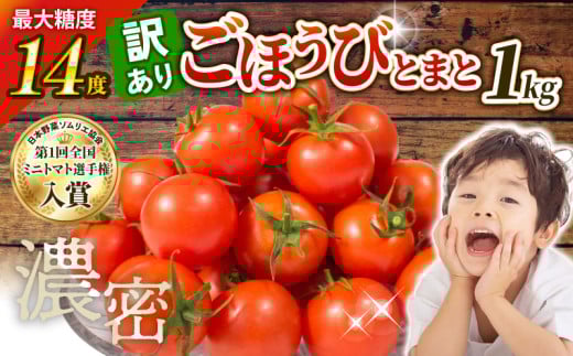 y\tz󂠂 g}g x Â 1kg t[cg}g ~jg}g  ʕ Z Yn Ƃꂽ p 傫s قтƂ܂ Е̎qt@[ ʌ Hsʌ