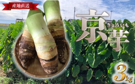 ̂  3kg ʌ Ԍ    ⡈  Yn ʌ HsʌHs7000؁Ê卪EjWEؗ