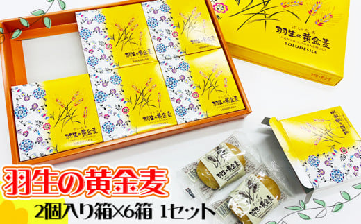 スイーツ 焼き菓子 さいたま羽生の黄金麦 2個入り箱×6箱 1セット スイーツ 洋菓子 食品 ギフト 手土産 誕生日 御歳暮 ギフト プレゼント 差し入れ お菓子埼玉県羽生市8000菓子・スイーツ