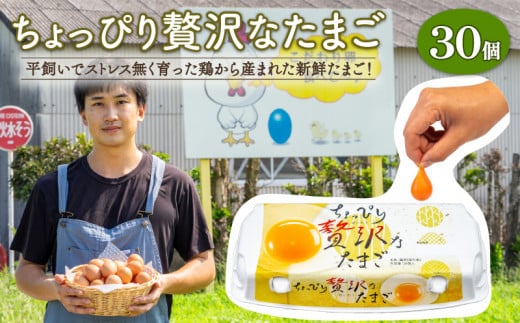 こだわり たまご 30個 (10個×3パック) 新鮮 平飼い 卵 埼玉県 羽生市 埼玉県羽生市10000卵・乳製品卵(鶏、烏骨鶏等)