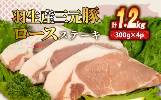 [X Xe[L 1.2kg ( 100g × 3) ×4P Y O Ⓚ ^   Ղ e 傫 ؂ ؓ  u^ |[N W[V[ ٓ  y ӂ͂ ґ Mtg 