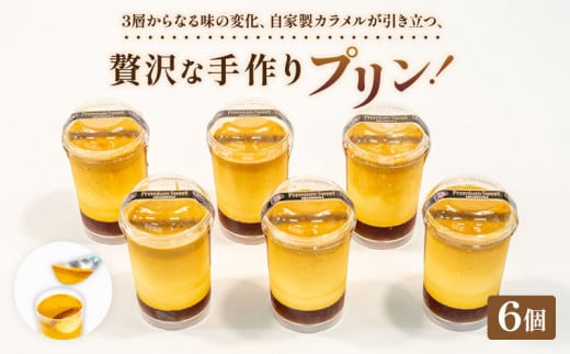 プリン 6個 セット 冷凍 手作り 冷凍スイーツ 冷凍デザート スイーツ デザート ぷりんプリン ウィンズ・アーク 埼玉県 羽生市埼玉県羽生市8000菓子・スイーツプリン・ゼリー