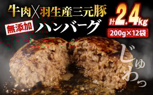 無添加ハンバーグ 牛肉 豚肉 あいびき 2.4kg 大判ハンバーグ 惣菜 冷凍 ハンバーグ はんばーぐ 肉埼玉県羽生市10000肉加工肉(ハム・ソーセージ等)