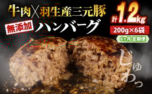 【定期便】 無添加ハンバーグ 1.2kg ×6回 計7.2kg 牛肉 豚肉 大判ハンバーグ 惣菜 冷凍 ハンバーグ 無添加 国産 はんばーぐ 肉埼玉県羽生市42000肉加工肉(ハム・ソーセージ等)