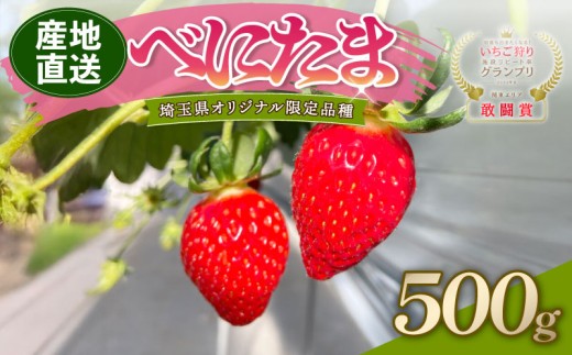 【予約】 べにたま 埼玉限定品種 500g いちご イチゴ 苺 ストロベリー 産地直送 ご当地 果物 くだもの フルーツ デザート 食品 スイーツ 冷蔵 ロコファーム 埼玉県 羽生市埼玉県羽生市14000果