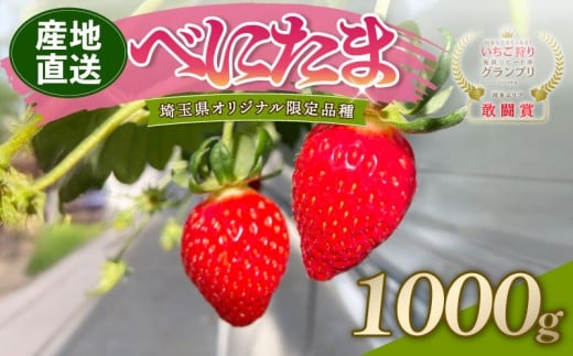 y\z ׂɂ ʌi 1000g  C`S  Xgx[ Yn n ʕ  t[c fU[g Hi XC[c ① Rt@[ ʌ HsʌHs27000