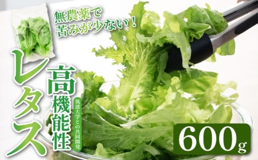 @\ ^X _ 600g t^X Yn @\ k͔| VN N ٓ t[hX _CGbg xW^u B[K xW^A ACNX ʌ HsʌH