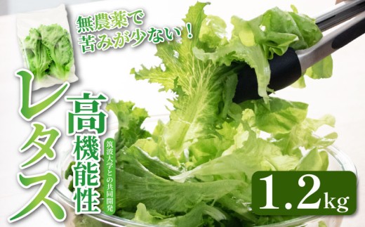 @\ ^X _ 1.2kg O[[t Yn @\ k͔| VN N ٓ t[hX _CGbg xW^u B[K xW^A ACNX ʌ HsʌH