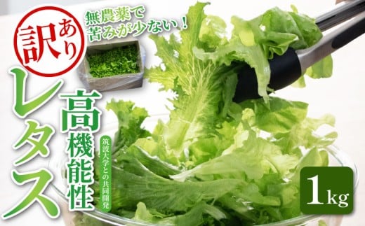󂠂 @\ ^X _ 1kg t^X Yn @\ k͔| VN N ٓ t[hX _CGbg xW^u B[K xW^A ACNX ʌ Hs