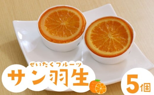 焼き菓子 サン羽生 5個 セット オレンジ シロップ漬け 焼菓子 お菓子 洋菓子 果物 デザート スイーツ 母の日 父の日 敬老の日 お中元 お歳暮 ギフト プレゼント 人気 ウィンズ・アーク 埼玉