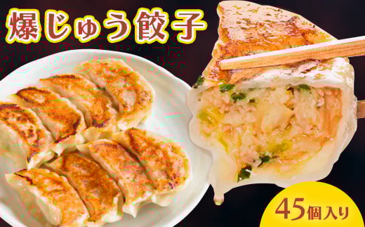 爆じゅう餃子 45個入り【1209776】群馬県太田市13000鍋セット・総菜・加工食品総菜