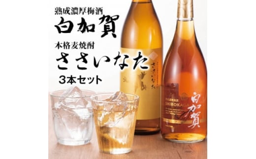 熟成濃厚梅酒白加賀・本格麦焼酎ささいなた3本セット【1267975】群馬県太田市24000酒・アルコールその他 酒・アルコール