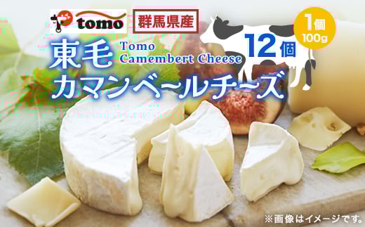 群馬県太田市 東毛カマンベールチーズ12個セット_チーズ カマンベール 美味しい 乳製品 冷蔵 国産生乳 人気 おすすめ  ギフト 贈答 プレゼント 東毛酪農【1296686】群馬県太田市16000卵・乳製