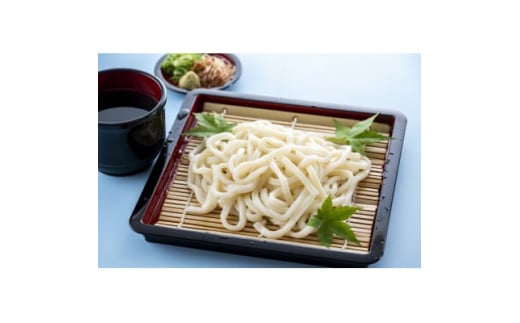 上州群馬 太麺・強ゴシ 生んまいうどん!【1448249】群馬県太田市7000麺うどん