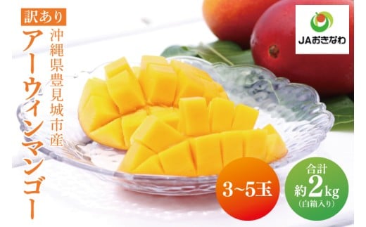 【2026年6月より順次発送】【訳あり】菜々色畑のアーウィンマンゴー 3〜5玉(約2kg)【白箱】 ご家庭用|マンゴー アーウィンマンゴー アーウィン フルーツ 果物 くだもの おきなわマンゴー お