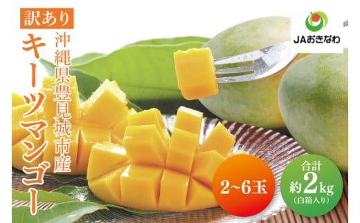 y2026N8菇zy󂠂z؁XF̃L[c}S[ 2`6(2kg)yzƒpb󂠂 킯 A L[c}S[ }S[ L[c t[c s\ ʕ 