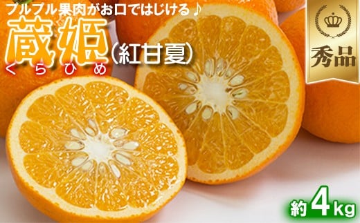 今村農園の蔵姫くらひめ(紅甘夏) 約4kg【秀品】 先行予約 4kg 2026年 3月発送 4月発送 贈答 柑橘類 みかん ミカン フルーツ <107-032_7>大分県杵築市10000果物・フルーツみかん・柑橘類