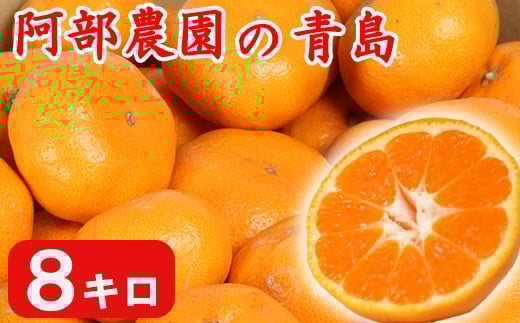 【訳あり品】阿部農園の「青島 約8kg」 / ミカン みかん 蜜柑 柑橘類 糖度 訳あり 1月 先行予約 甘い 温州みかん フルーツ <112-003>大分県杵築市13000果物・フルーツみかん・柑橘類