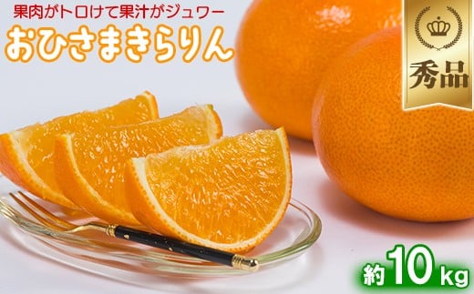 今村農園のおひさまきらりん 約10kg【秀品】  甘い オレンジ みかん ミカン 清美 10kg 12月発送 1月発送 先行予約 贈答 柑橘類 フルーツ <107-026_7>大分県杵築市80000果物・フルーツみかん・柑