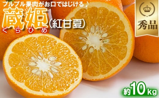 今村農園の蔵姫くらひめ(紅甘夏) 約10kg【秀品】 先行予約 10kg 2026年 3月発送 4月発送 贈答 柑橘類 みかん ミカン フルーツ <107-033_7>大分県杵築市20000果物・フルーツみかん・柑橘類