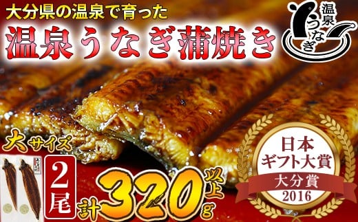 【配送日指定可能】温泉うなぎ蒲焼 2尾(160gサイズ) 国産うなぎ 人気 国産 蒲焼 蒲焼き かば焼き 鰻屋 個包装 冷凍 真空 ギフト <104-011_5>大分県杵築市25000魚介・海産物うなぎ