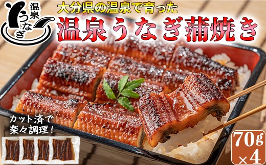 【配送日指定可能】完全無投薬養殖!大分水産の温泉うなぎ蒲焼(カット)70g×4 国産 蒲焼 蒲焼き かば焼き 鰻屋 個包装 冷凍 真空 ギフト <104-003_5>大分県杵築市23000魚介・海産物うなぎ