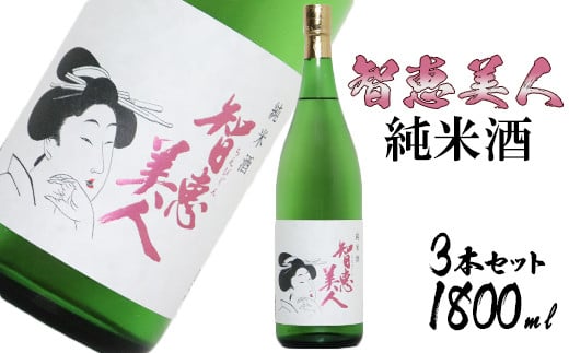中野酒造清酒智恵美人純米酒1800ml 3本セット<105-029_5>大分県杵築市30000酒・アルコール日本酒