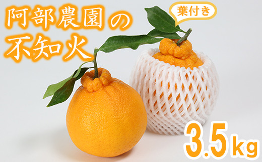 阿部農園の「ハウス葉付き不知火 約3.5kg」 / ミカン みかん 蜜柑 柑橘類 不知火 数量限定 フルーツ <112-006>大分県杵築市13000果物・フルーツみかん・柑橘類