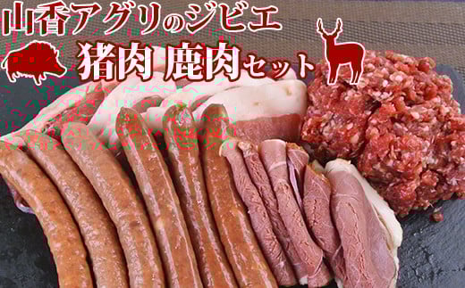 RAÕWrGAZbgiXCXE~`EnEECi[AECi[j145-005_5啪nzs17000WrG